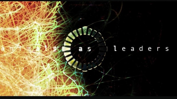 我养的小乌龟一天不吃龟食会不会饿死呢？